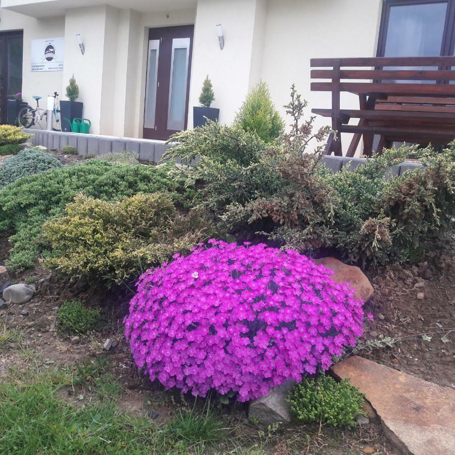 Apartamenty Przy Trakcie Cesarskim Wegierska Gorka Exteriör bild